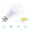 Ampoule LED 5/10/15 W à intensité variable avec télécommande