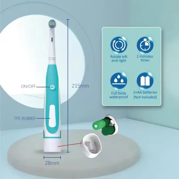 Sonic Electric Toothbrush Rounded 3D Vibrate Teeth Brush Rotation Gum Care Soft Bristle Heads Battery Power Teeth Whitening