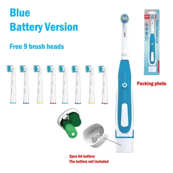 Sonic Electric Toothbrush Rounded 3D Vibrate Teeth Brush Rotation Gum Care Soft Bristle Heads Battery Power Teeth Whitening
