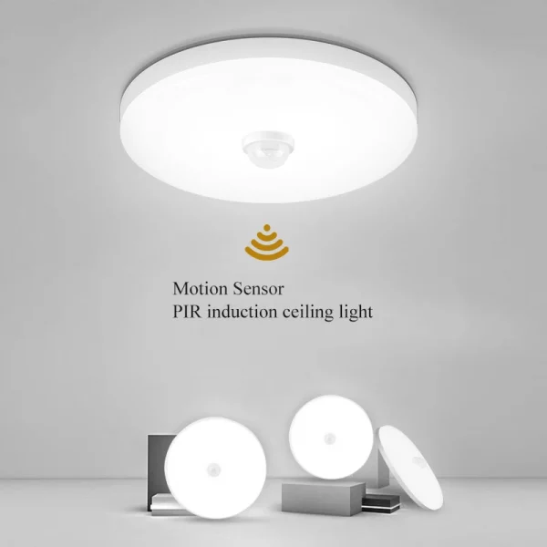 Smart Sensor LED Light Ceiling Lamp Modern Home Indoor Aisle LED Hanging Fixture Induction Lighting Living Room Luminaire Lamps
