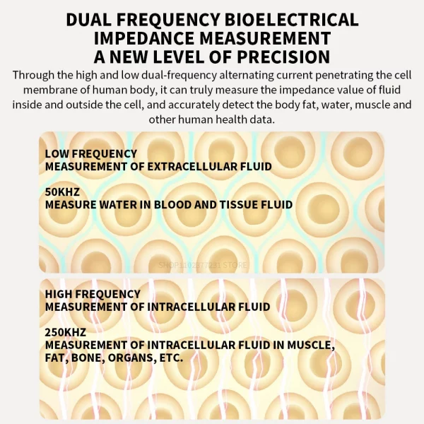 Xiaomi Scale S400 Smart Health Scale Dual-frequency BIA Scale 25 Body Metrics Analyzer Family Health Tracker Portable Home Tools