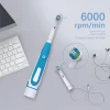 Sonic Electric Toothbrush Rounded 3D Vibrate Teeth Brush Rotation Gum Care Soft Bristle Heads Battery Power Teeth Whitening