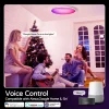 Smart Led Ceiling Light 24W Round Chandelier 30W Audio Music Play APP Bluetooth WIFI Ultra Thin Ceiling Lamp Indoor Lighting