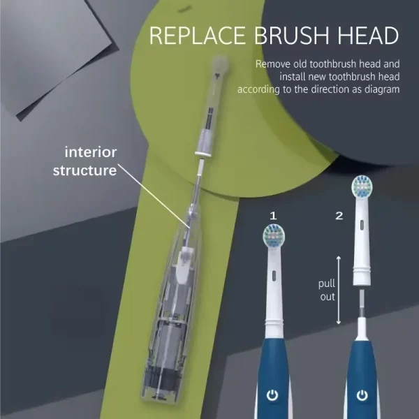 Sonic Electric Toothbrush Rounded 3D Vibrate Teeth Brush Rotation Gum Care Soft Bristle Heads Battery Power Teeth Whitening
