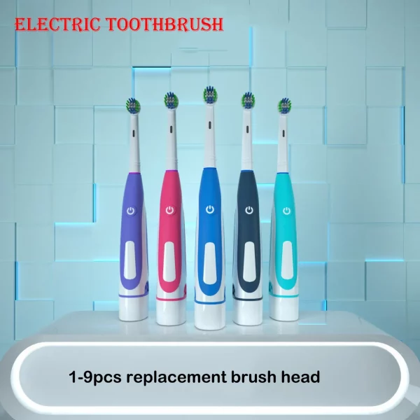 Sonic Electric Toothbrush Rounded 3D Vibrate Teeth Brush Rotation Gum Care Soft Bristle Heads Battery Power Teeth Whitening