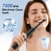 Sonic Electric Toothbrush Rechargeable Rotary Adult Waterproof with Timer 5 Modes & 4 Replaceable Brush Heads for Teeth Cleaning