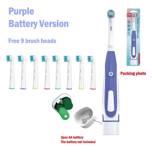Sonic Electric Toothbrush Rounded 3D Vibrate Teeth Brush Rotation Gum Care Soft Bristle Heads Battery Power Teeth Whitening