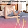 Couverture Chauffante Électrique Double, Thermostat Intelligent