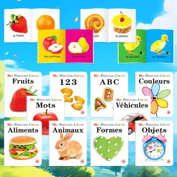 Ensemble de livres d'apprentissage précoce françai