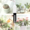 Mini Lave-Linge Portable Pliable USB Efficace