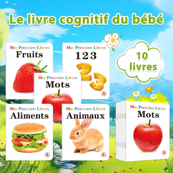 Ensemble de livres d'apprentissage précoce françai