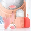 S9cb6efb1e8c34525a4359d5a15db1b6cY.webp Kit de massage facial 3 pièces : Rouleau de glace,