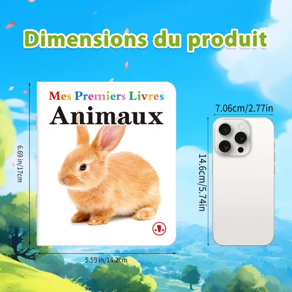 Ensemble de livres d'apprentissage précoce françai