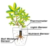 Se47b64f8e6194c6aba4e67919f8a5e566.webp Moniteur Intelligent de Soin des Plantes