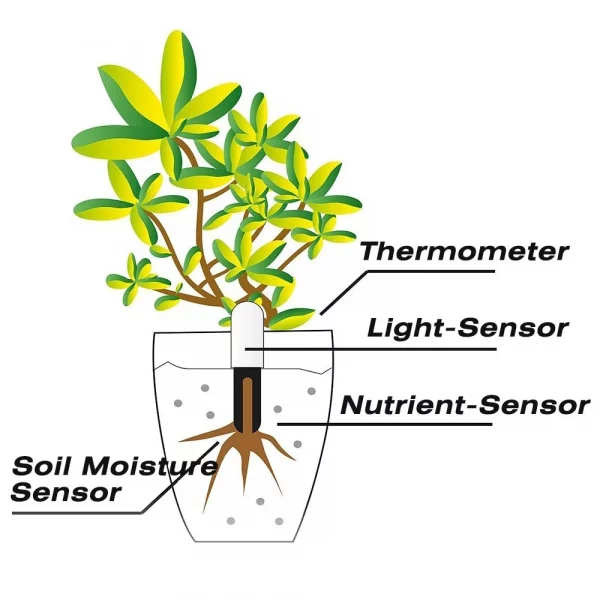 Se47b64f8e6194c6aba4e67919f8a5e566.webp Moniteur Intelligent de Soin des Plantes