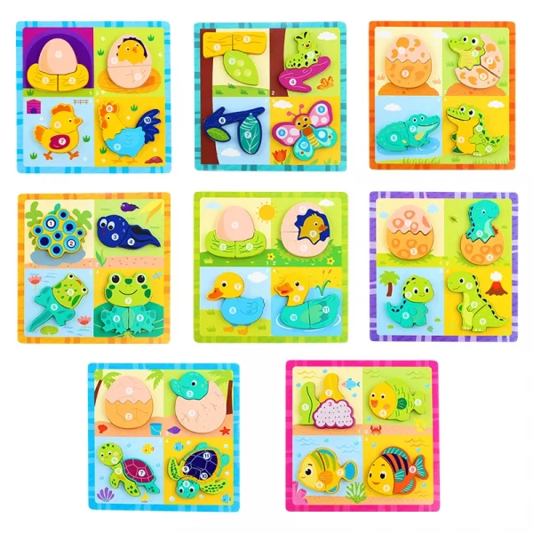 Sed889146209b43acb7ff4b2dd8e9c558w.webp Puzzle 3D en bois sur le processus d'évolution des