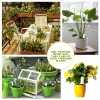 Sf359473f325b4d43b4c442438de1b936F.webp Moniteur Intelligent de Soin des Plantes