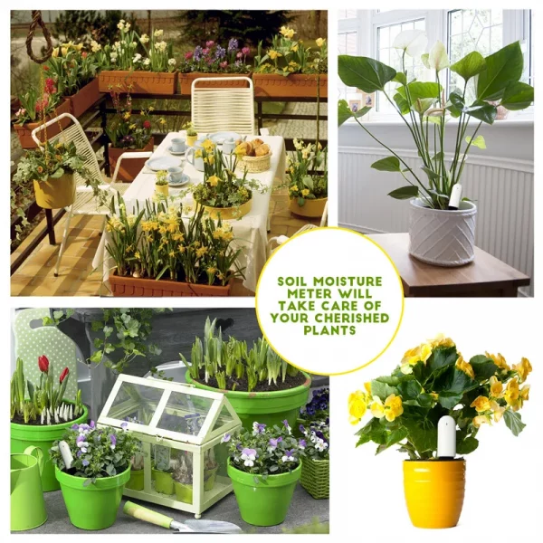 Sf359473f325b4d43b4c442438de1b936F.webp Moniteur Intelligent de Soin des Plantes